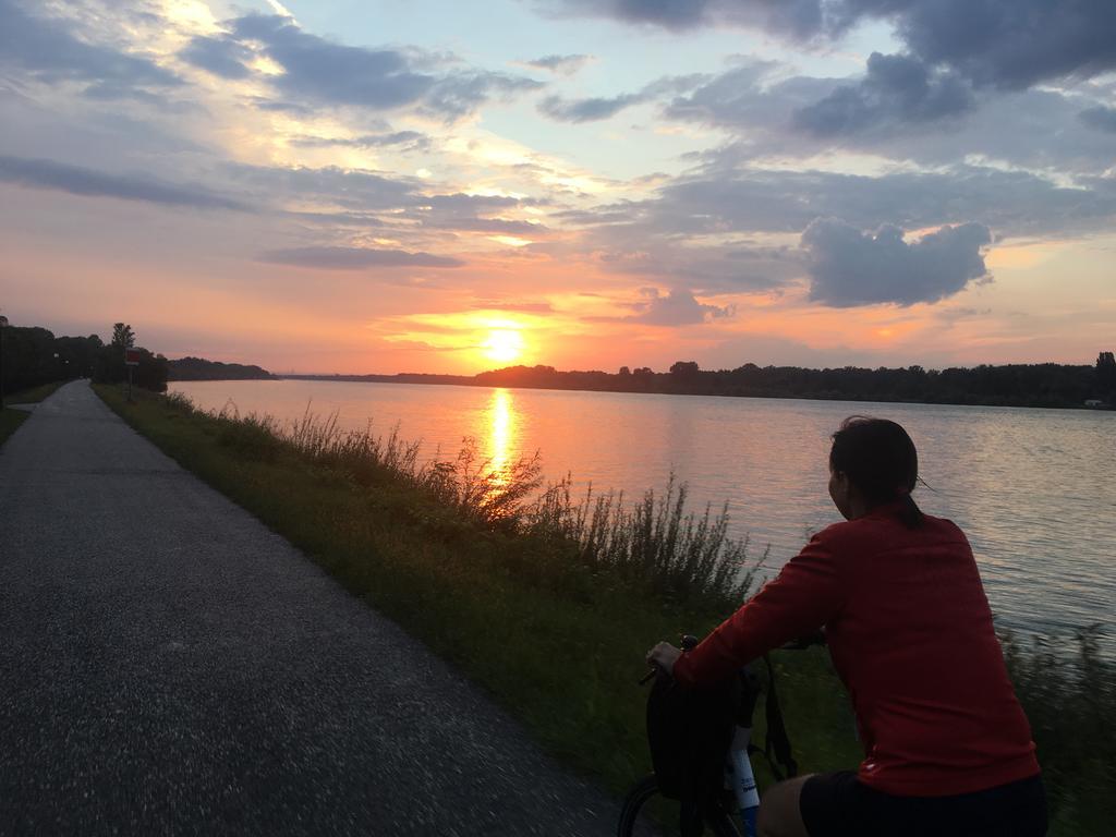 Donaupark Camping Tulln Tulln An Der Donau Zewnętrze zdjęcie