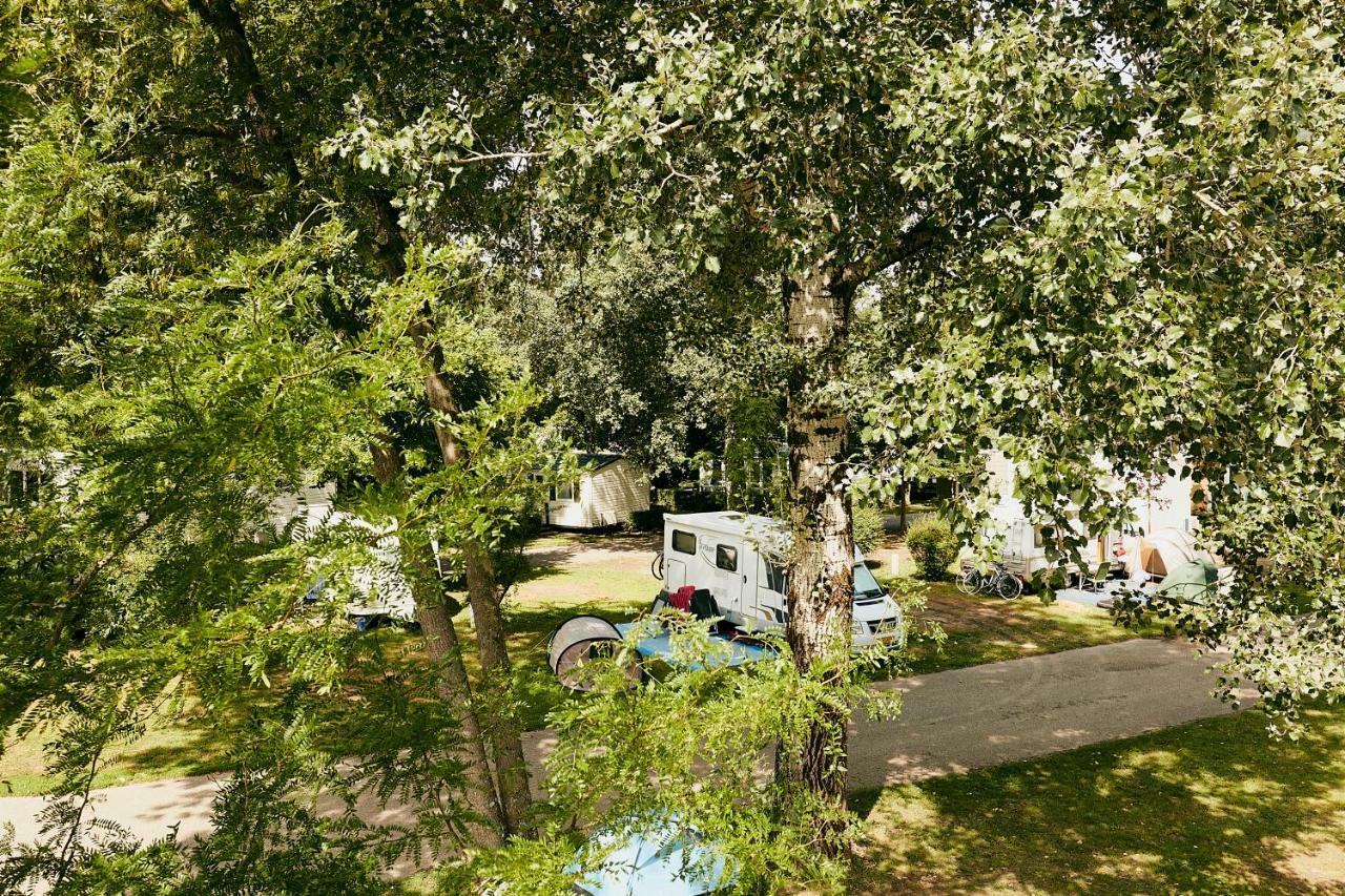Donaupark Camping Tulln Tulln An Der Donau Zewnętrze zdjęcie