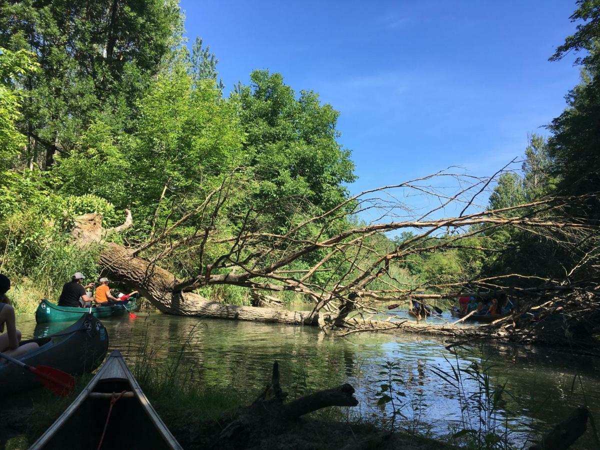 Donaupark Camping Tulln Tulln An Der Donau Zewnętrze zdjęcie