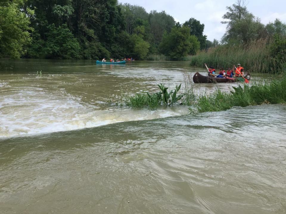 Donaupark Camping Tulln Tulln An Der Donau Zewnętrze zdjęcie